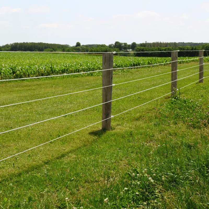 New fence in a field
